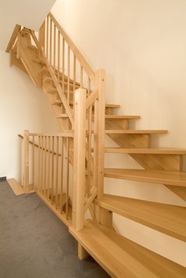 beuken keepboom trappen