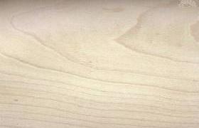 berken hout