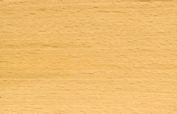 beuken hout